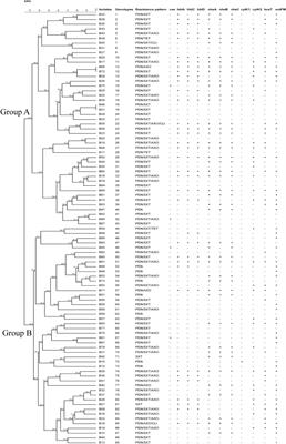 Prevalence and antimicrobial-resistant characterization of Bacillus cereus isolated from ready-to-eat rice products in Eastern China